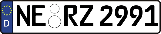 NE-RZ2991