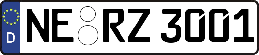 NE-RZ3001