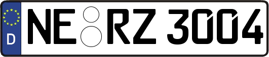 NE-RZ3004