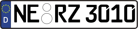 NE-RZ3010