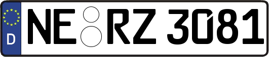 NE-RZ3081