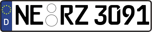 NE-RZ3091