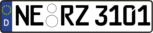 NE-RZ3101