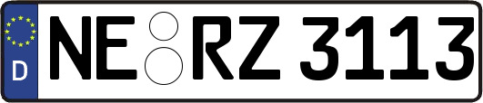NE-RZ3113