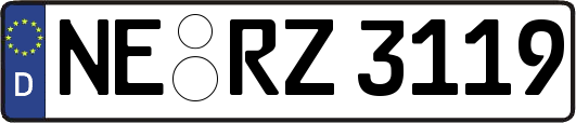 NE-RZ3119
