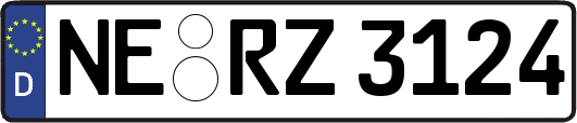 NE-RZ3124