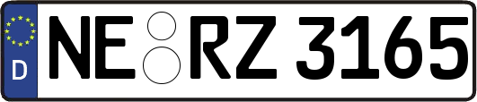 NE-RZ3165