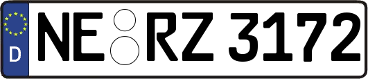 NE-RZ3172