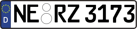 NE-RZ3173