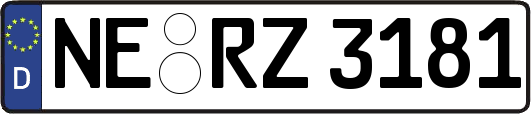 NE-RZ3181