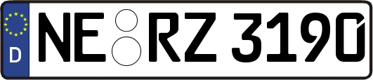NE-RZ3190