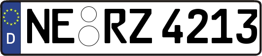 NE-RZ4213