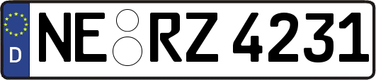 NE-RZ4231