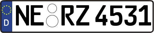 NE-RZ4531