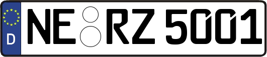NE-RZ5001