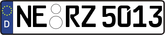 NE-RZ5013