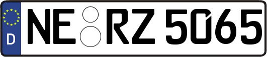 NE-RZ5065
