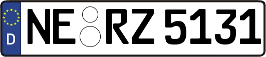 NE-RZ5131