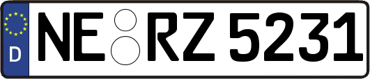 NE-RZ5231