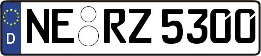 NE-RZ5300