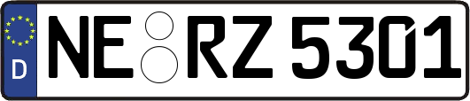 NE-RZ5301