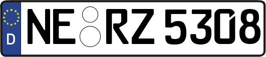 NE-RZ5308