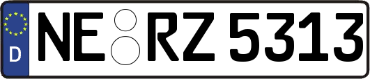 NE-RZ5313