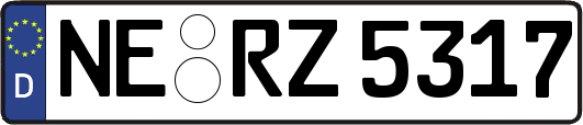 NE-RZ5317