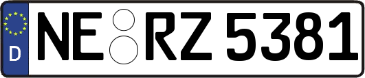 NE-RZ5381