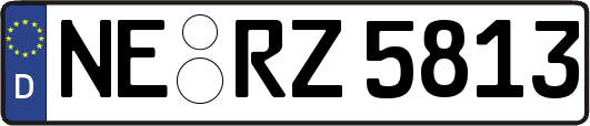 NE-RZ5813