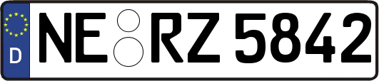 NE-RZ5842