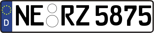 NE-RZ5875