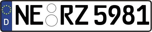 NE-RZ5981