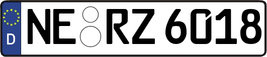 NE-RZ6018