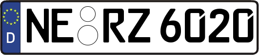 NE-RZ6020