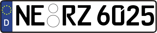 NE-RZ6025