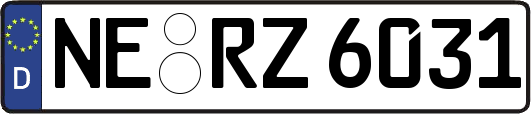 NE-RZ6031