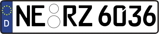 NE-RZ6036