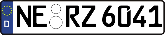 NE-RZ6041