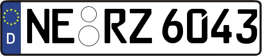 NE-RZ6043