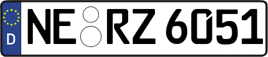 NE-RZ6051