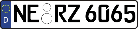 NE-RZ6065