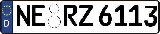 NE-RZ6113