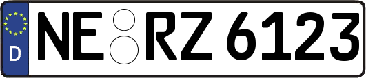 NE-RZ6123