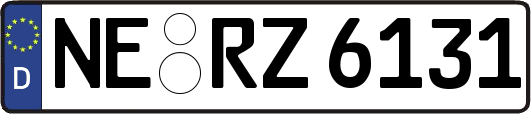 NE-RZ6131