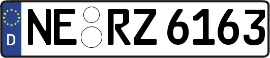 NE-RZ6163