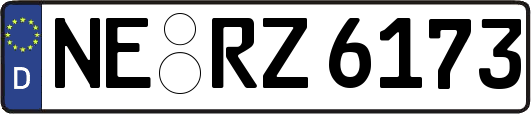 NE-RZ6173