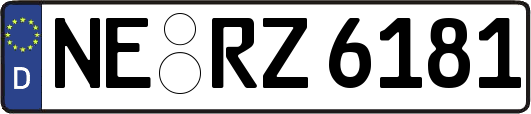 NE-RZ6181