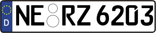 NE-RZ6203