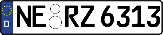 NE-RZ6313